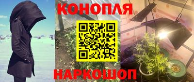 прущие грибы Свободный