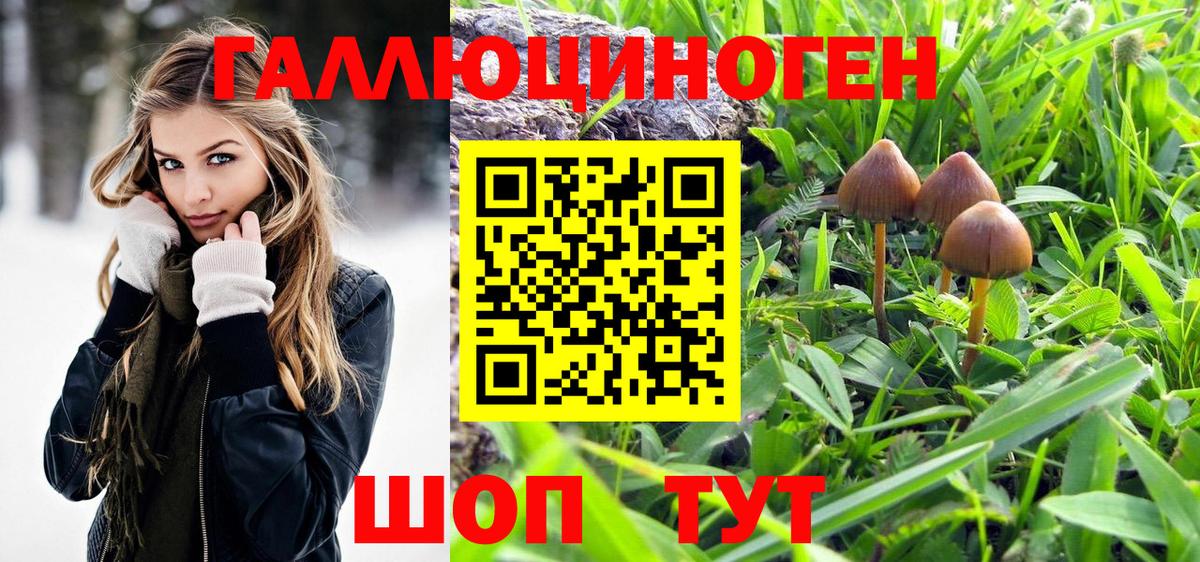 Галлюциногенные грибы мухоморы Советская Гавань