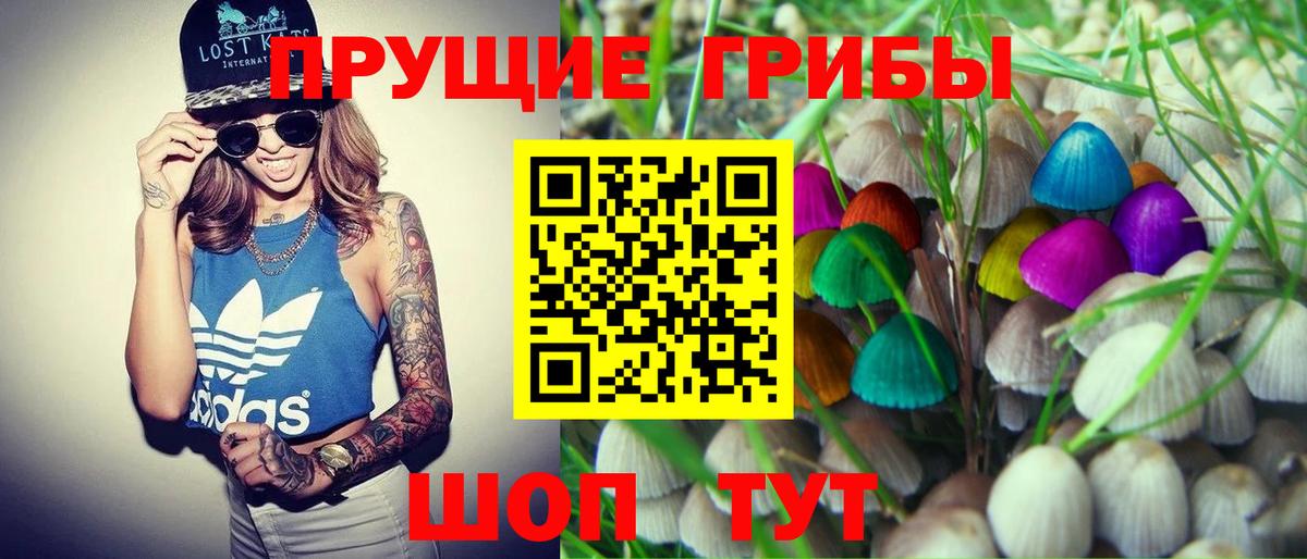 Псилоцибиновые грибы Cubensis  Вход с VPN  Советская Гавань 
