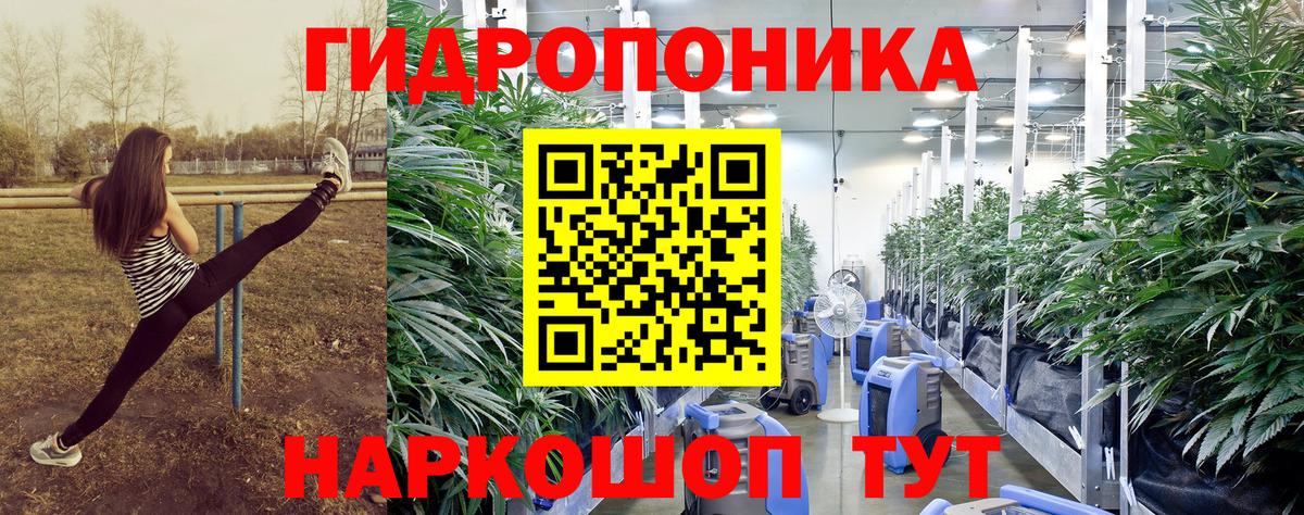 Конопля Bruce Banner Советская Гавань